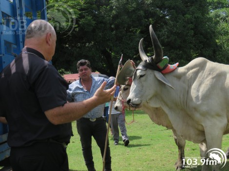 Peregrinando el pueblo de San Isidro en Palmar Norte